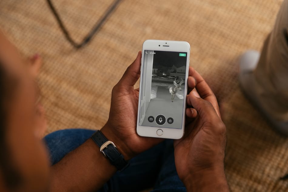 Starke FL security system